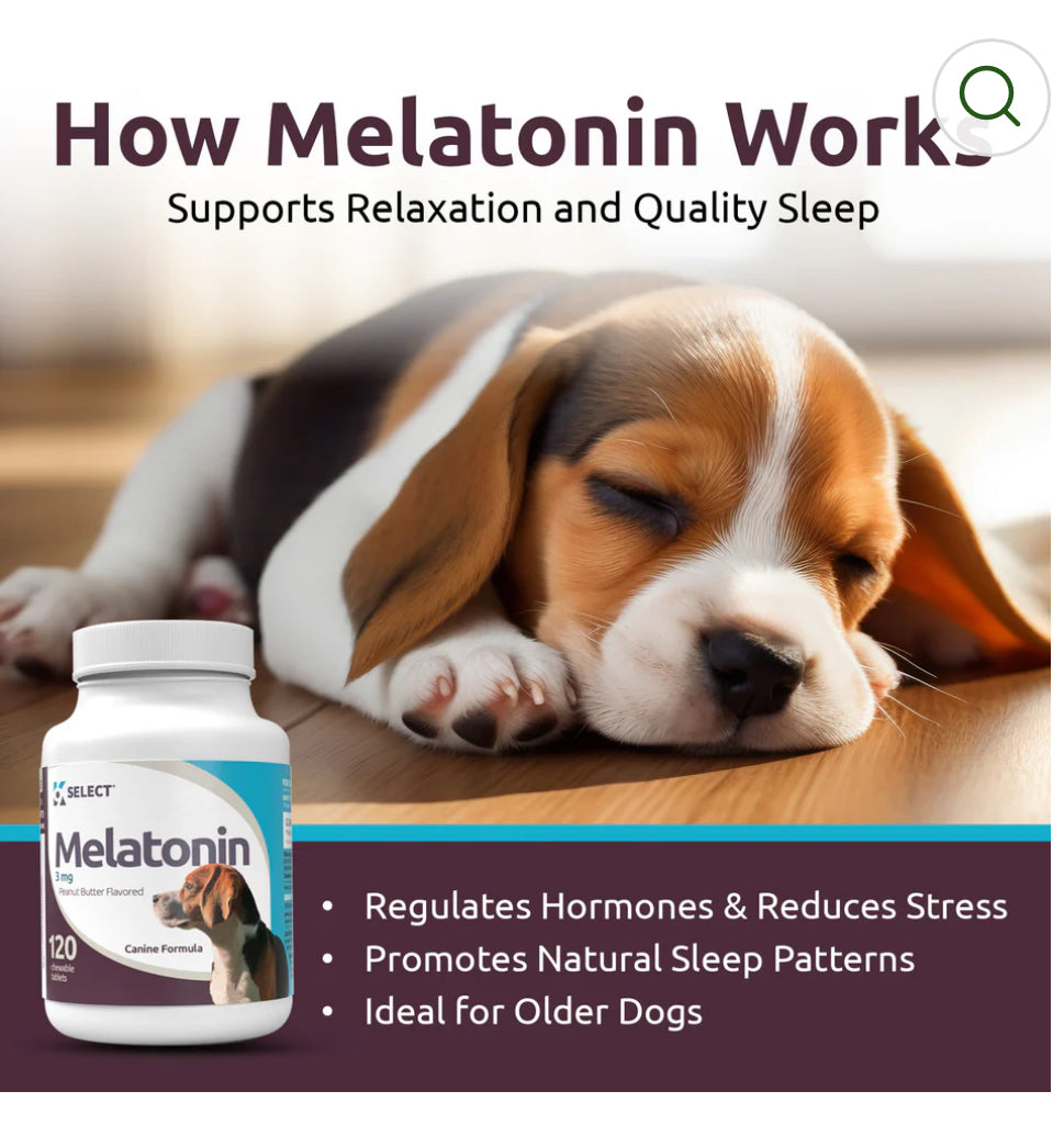 K9 Select Melatonin for Dogs 3mg, 120 Tablets Peanut Butter Flavoured