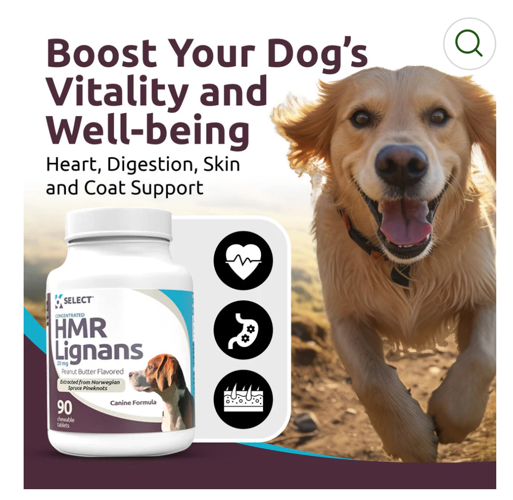 K9 Select Peanut Butter Flavoured HMR Lignans for Dogs 20mg 90 Tablets