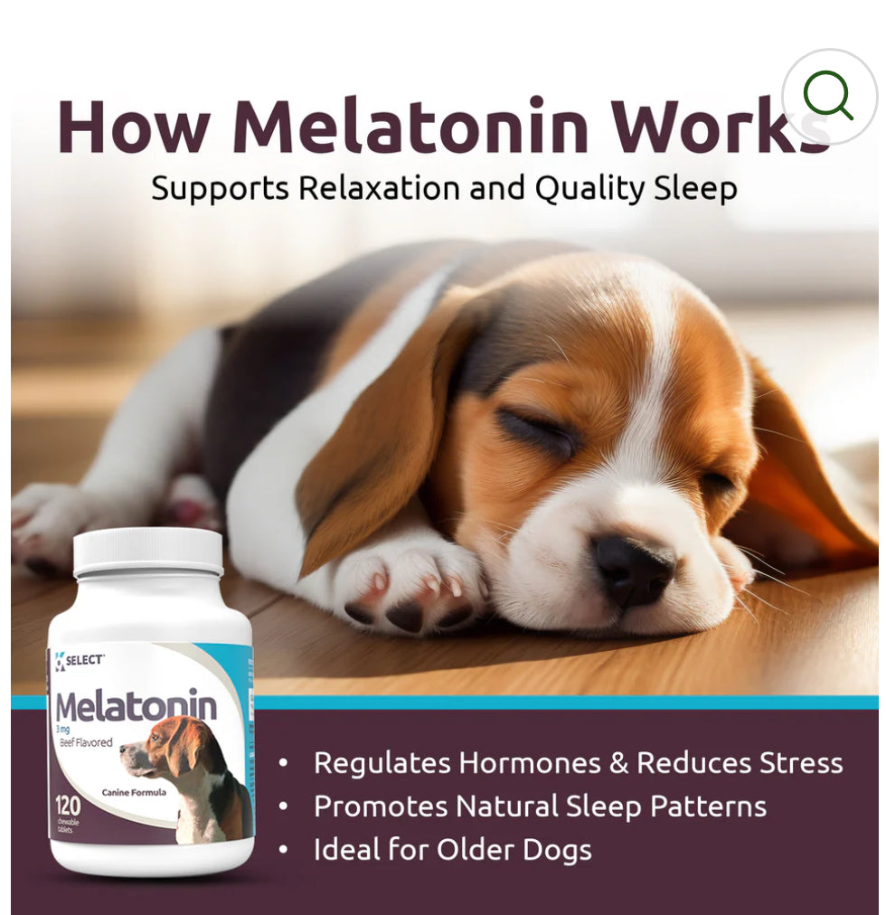 K9 Select Melatonin for Dogs 3mg, 120 Tablets Beef Flavoured