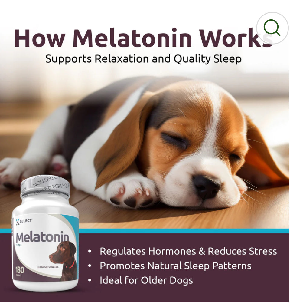 K9 Select Melatonin for Dogs 5mg, 180 Tablets Unflavored