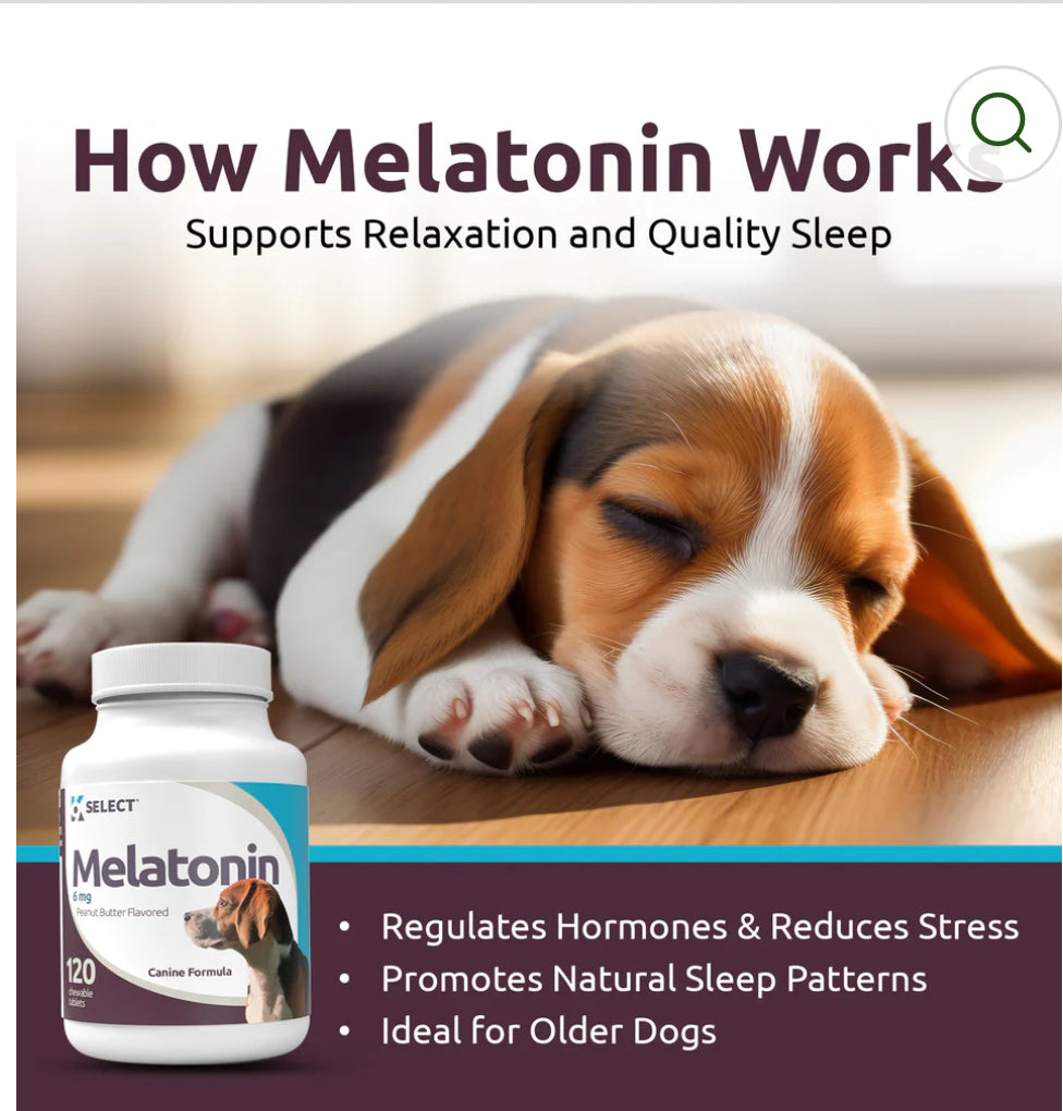 K9 Select Melatonin for Dogs 6mg, 120 Tablets Peanut Butter Flavoured