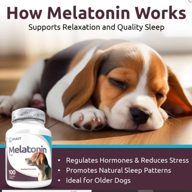 K9 Select Melatonin for Dogs 3mg, 100 Tablets Unflavored