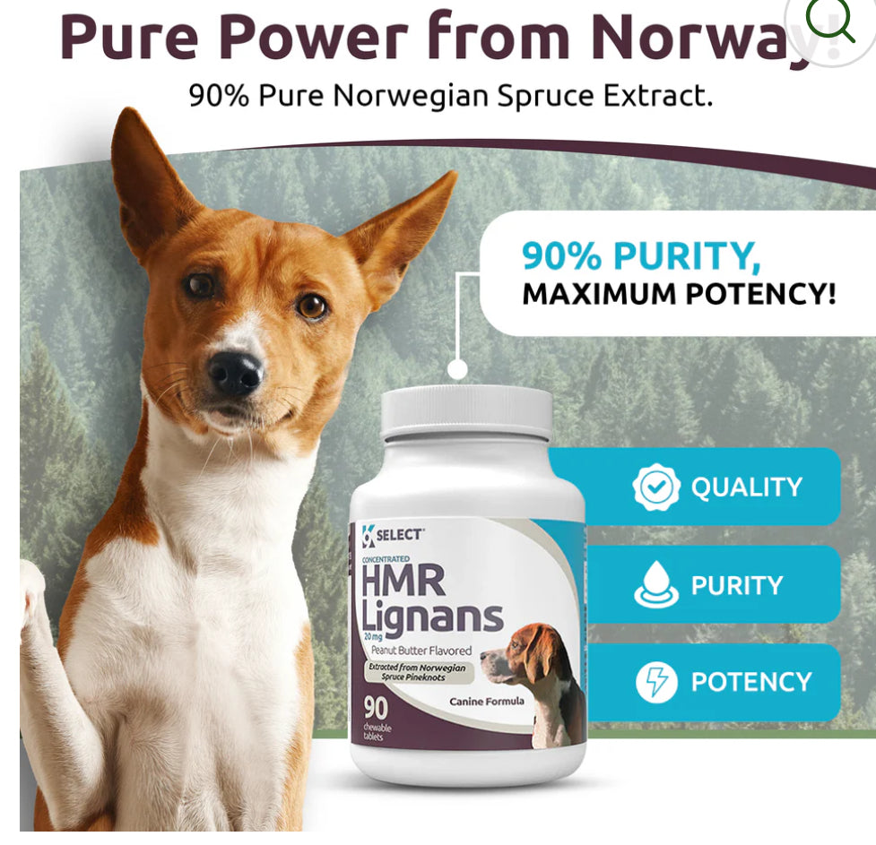 K9 Select Peanut Butter Flavoured HMR Lignans for Dogs 20mg 90 Tablets