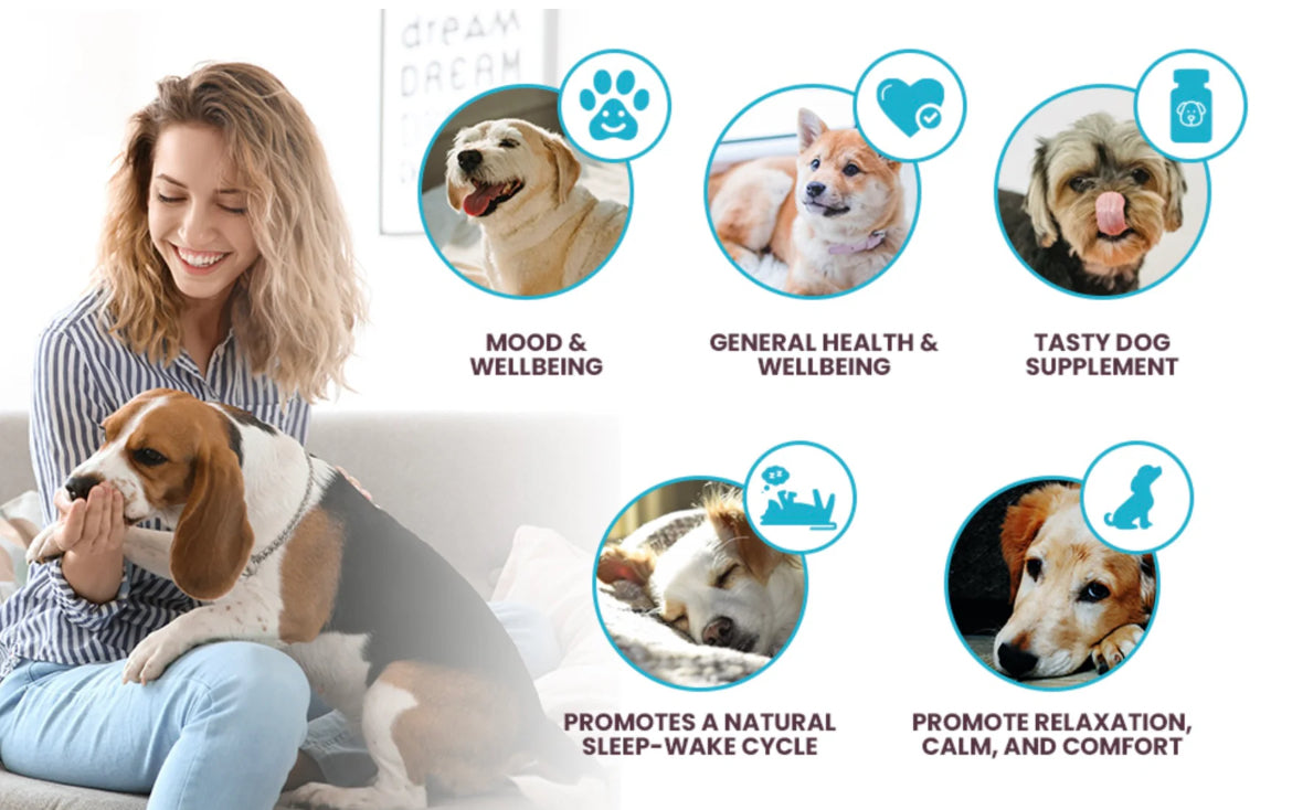 K9 Select Melatonin for Dogs 6mg, 90 Tablets Beef Flavoured