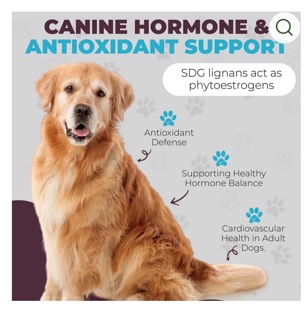 K9 Select Flaxseed (SDG) Lignans 20mg | Canine Formula | 90 Vegetarian Capsules