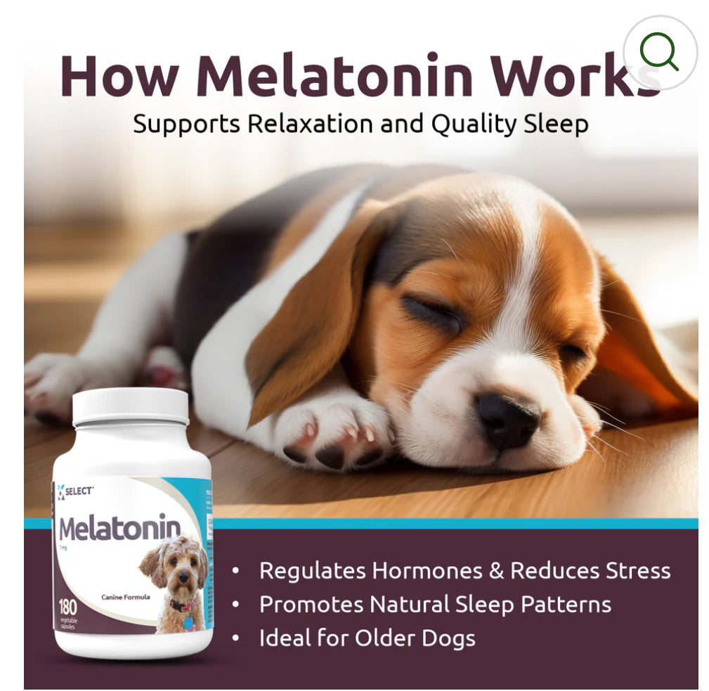 K9 Select Melatonin for Dogs 1mg, 180 Tablets Unflavored