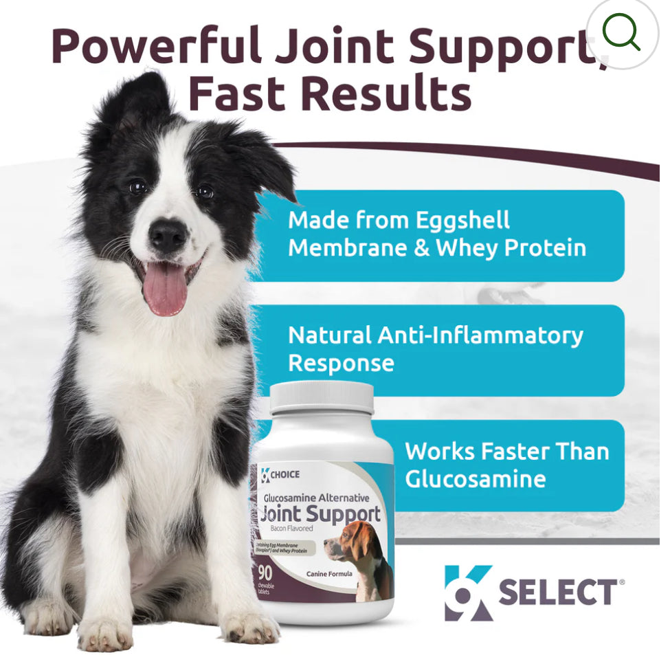 K9 Select Joint Support for Dogs with BiovaPlex - Glucosamine Alternative 90 Tablets